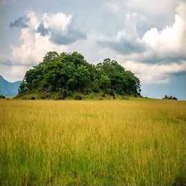 Gagong Rapper - Kabet