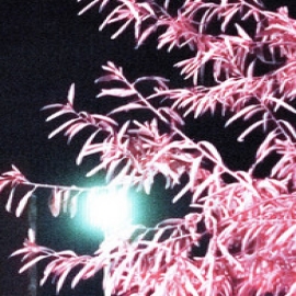 Последние Две - Наверное, Мало Тебя